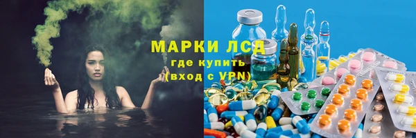 сатива Аркадак