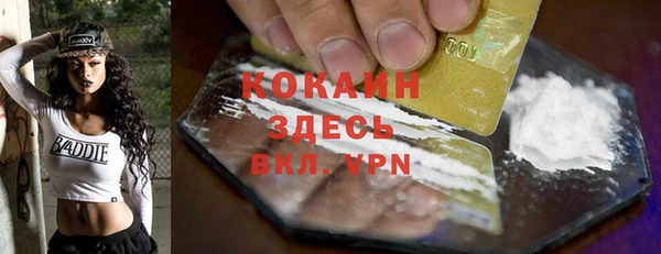 сатива Аркадак