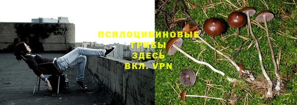 не бодяженный Арсеньев