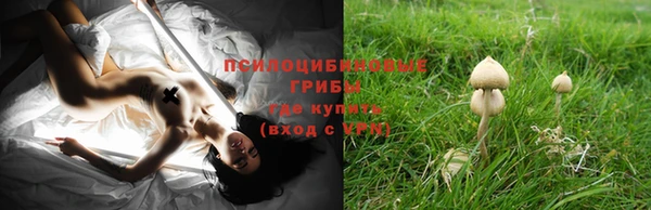 синтетический гашиш Армянск