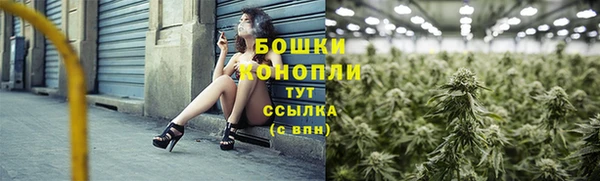 сатива Аркадак