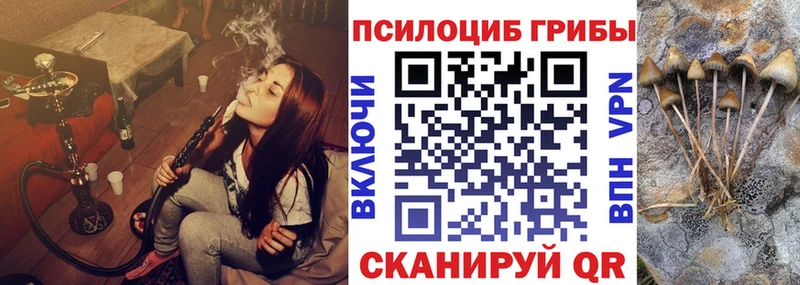 Псилоцибиновые грибы Cubensis  наркошоп  Белебей 